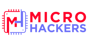 Innovating Cybersecurity: A Visionary Journey with MicroHackers' Founder